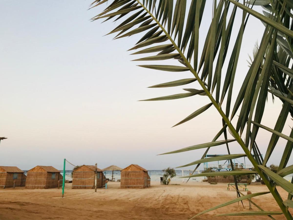 Hotel Half Moon Camp Taba Exteriér fotografie