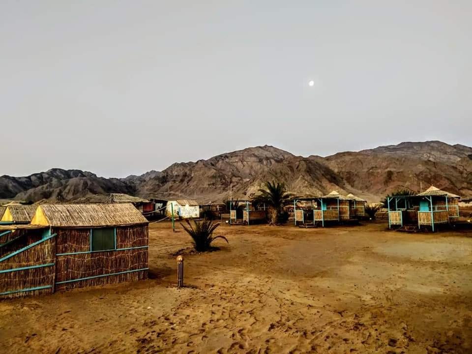Hotel Half Moon Camp Taba Exteriér fotografie